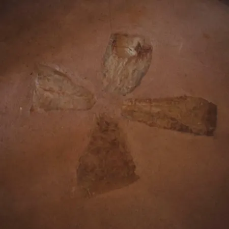 Antico Trullo Salentino * Salve